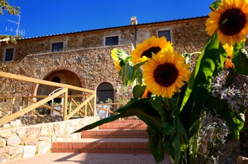 Accommodation in Campiglia Marittima