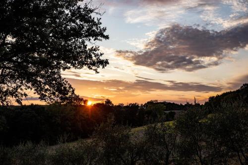 Agriturismo Podere Campinovi