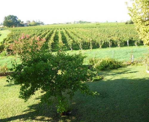 Le Clos des Rosiers