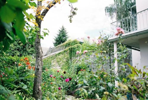 Idéal pour cure Maison Blanche Odin - Location saisonnière - Bagnères-de-Bigorre