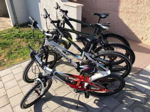 Apartment MADIS & Free Bikes 4