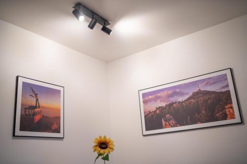 Apartmány pod Ještědem - image 10