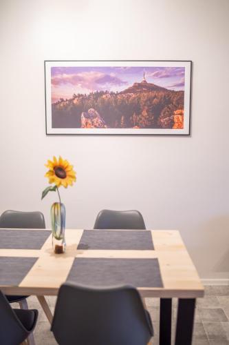 Apartmány pod Ještědem - image 13