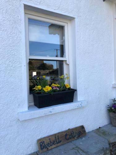 Exterior view, Bluebell Cottage in Kilmore Quay