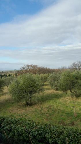Casa Annick holiday home Florence Chianti Area - image 5