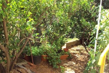 Extra Spacious Seaview Apartments close to the beach, with large terraces, AC and FREE WI-FI & BBQ &