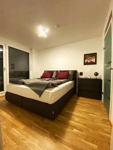 Brand New Apartment, Top Location-Near VIC/Danube, Rust