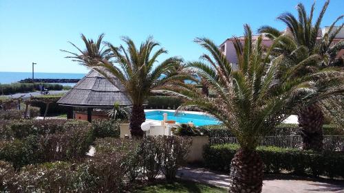 Garden, Appartement 2 Pieces Vue Mer Rochelongue CAP D'AGDE near Les Vagues