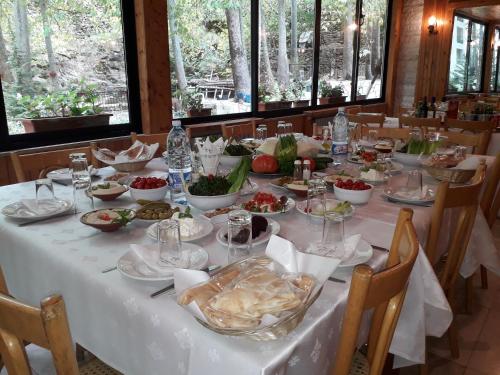 Экстерьер, Tamerland-faraya in Фарая