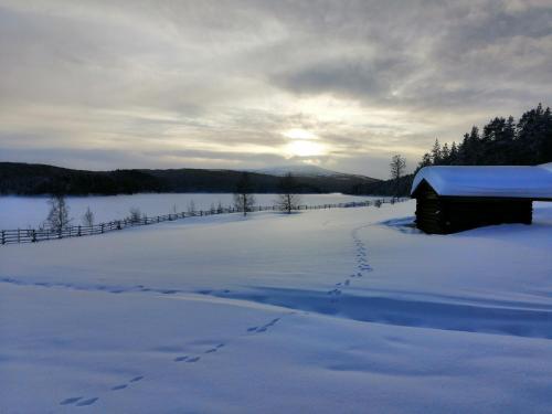 Lemmenjoki Camping EcoCabins