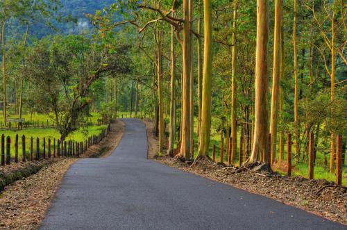 Arenal Observatory Lodge & Trails