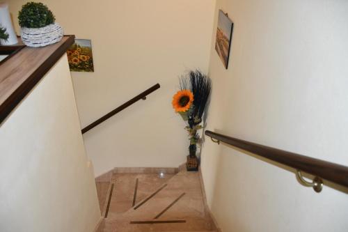 B&B Il Girasole