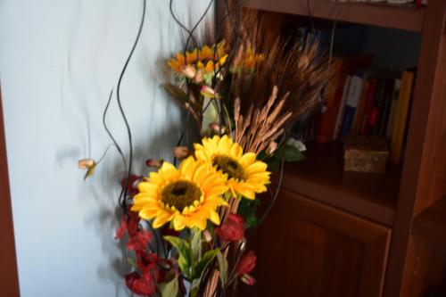B&B Il Girasole