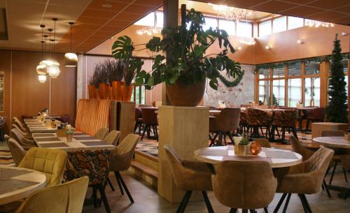 Hotel Schaepkens van St Fijt - image 12