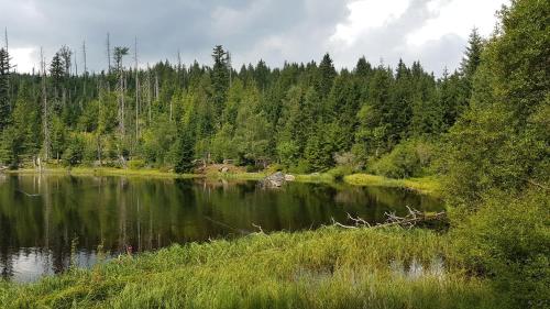 Apartmán “U nás v podkroví“ v Rezidenci Klostermann, Železná Ruda 24