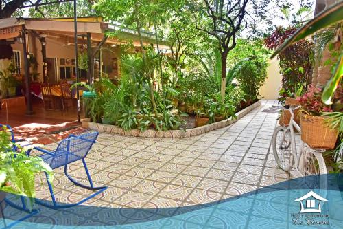 Hotel y Apartments Los Cisneros - 전망
