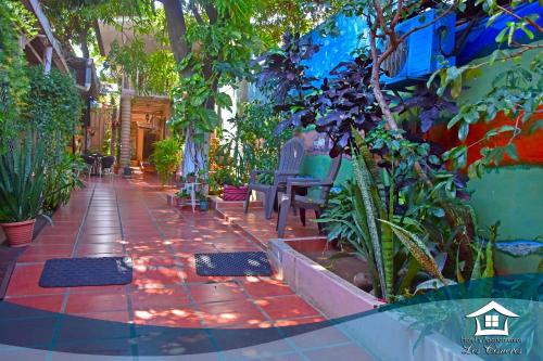 Hotel y Apartments Los Cisneros - 정원