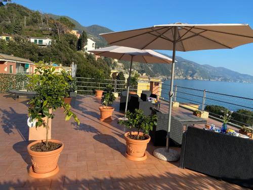 L'ancora di Monterosso - Cinque Terre L'ancora di Monterosso - Cinque Terre