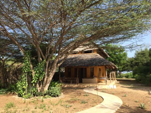 ogród, Mangrove House in Wyspa Lamu
