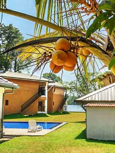 Amri River Cottages And Ayurvedee Retreat