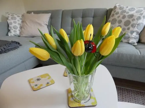 Ferienwohnung Sünteltraum in Hameln, Deutschland