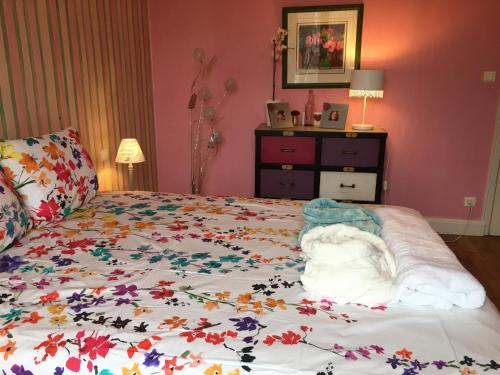 Laxou, limite NANCY, Bed and Breakfast photo 19