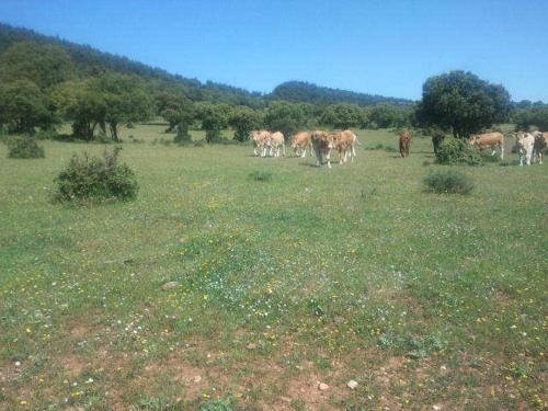 Herranetxe in Villamardones