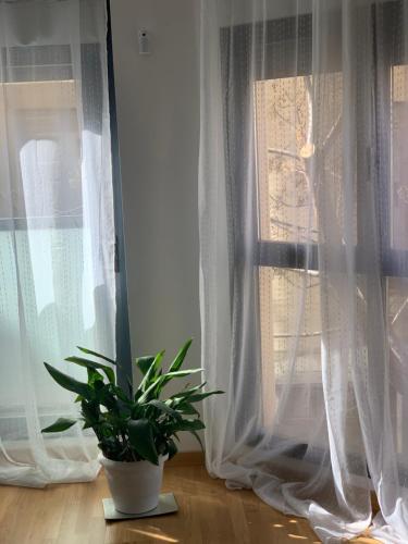 New, cozy apartment Plaza del Pilar-Fuenclara, Zaragoza (foto 10)