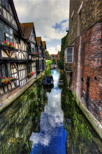 Beautiful house in the heart of Canterbury with Free Parking - image 14