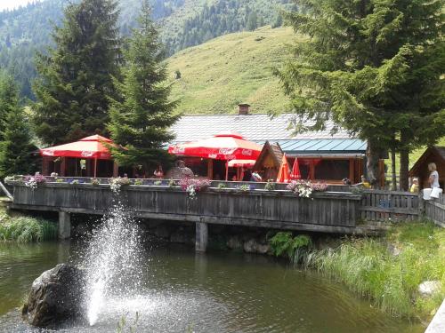 Ieeja, Schmiedalm in Haus im Ennštāla