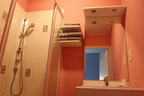 Le Voltaire photo 19