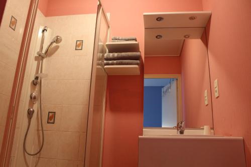 Le Voltaire photo 22