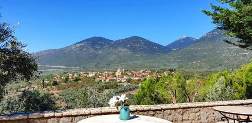 Private Villa with Panoramic View Delphi