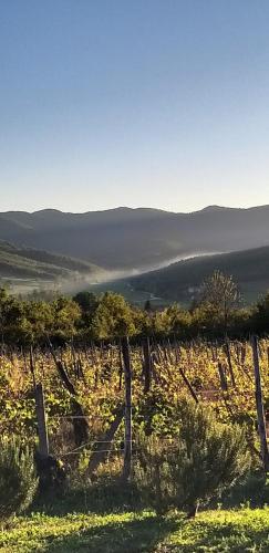  Agriturismo La Casaccia in Anghiari