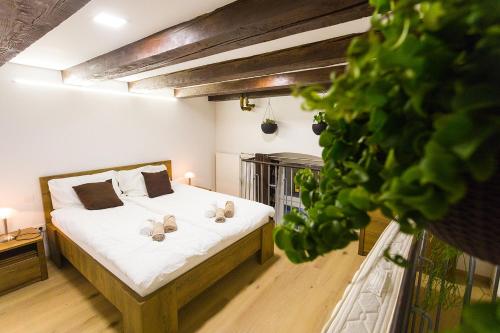 Sweet getaway apartment - central & parking, Lublaň (fotografie 3)