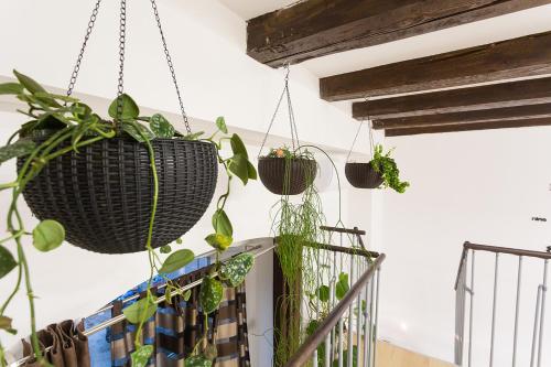 Sweet getaway apartment - central & parking, Lublaň (fotografie 5)