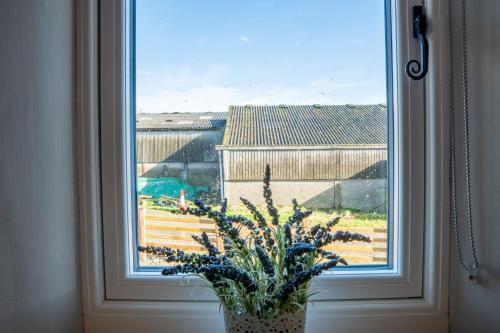 Drovers Cottage - image 2
