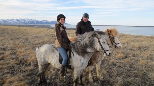 Húsey Hostel & Horsefarm