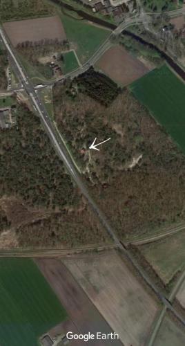 Het krekeltje in Buurtschap Beerze