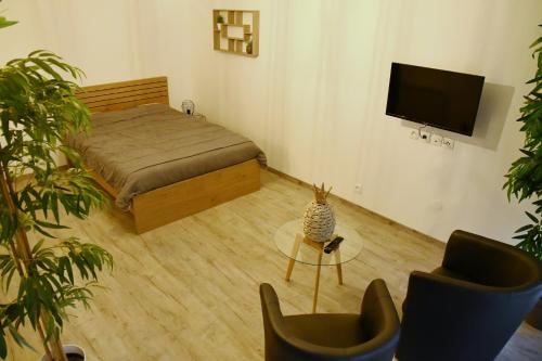 Appartement Tropical et JACUZZI Balnéothérapie Draveil, Essonne