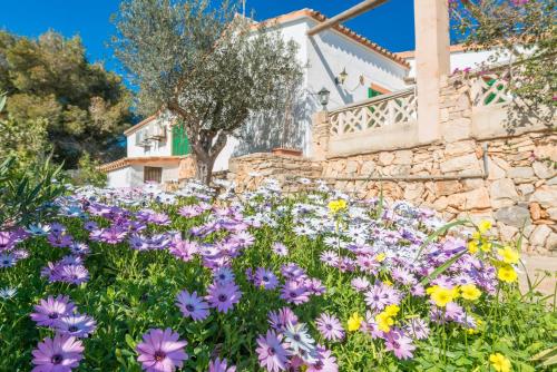 VILLA LA CASETA gîte à louer s'Alqueria Blanca