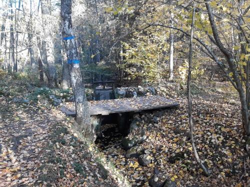 Tiny house in the middle of nature