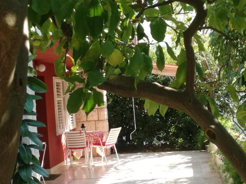  Apartment Petrović in Korčula