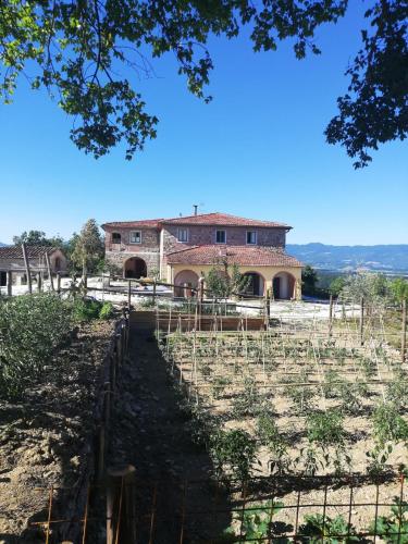 Podere Il Sasso - image 3