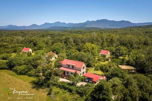 Forest Edge Forest Edge