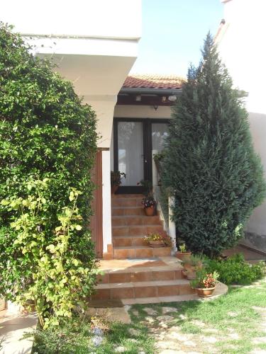 Apartment Nature - main image
