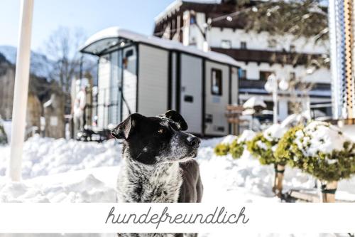 Das AHT ALPINES LIFESTYLEHOTEL ADULTS ONLY ALPENHOTEL TYROL