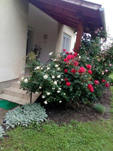 Vchod, Új Élet Weekend house (Uj Elet Weekend house) in Balatonkeresztur