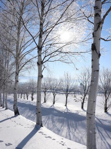 Furano Natulux Hotel