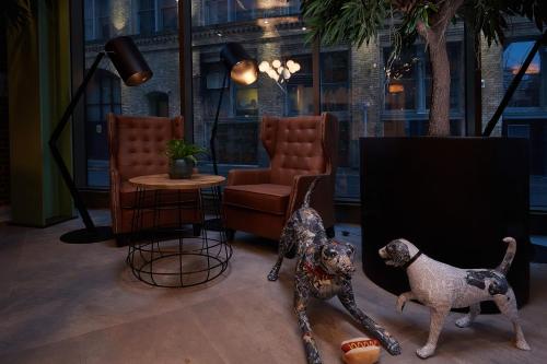 Hotel Brooklyn - image 11